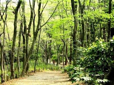 徒歩15分に県立座間谷戸山公園