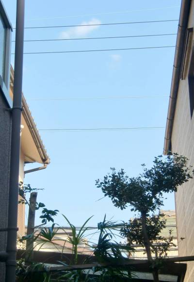 テラスの前は青空が見える
