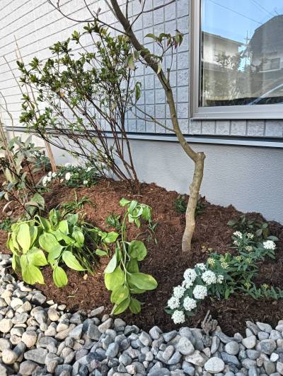 お庭　ナチュラルな雰囲気