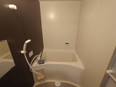 大きめの浴槽です。サーモ付き混合栓です。