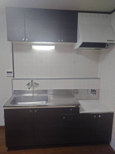 清潔で使いやすいキッチン。シングルレバーです。