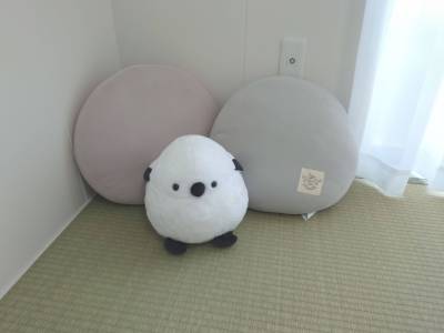 シマエナガちゃんがお出迎え♪