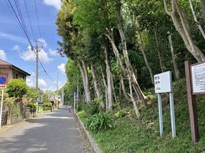 公園緑地は気持ちいい風が通り抜けます。