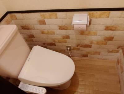 ウォシュレット機能付きトイレです