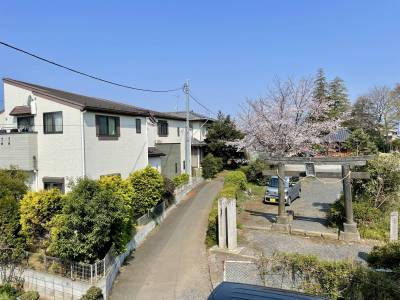 2階北側の窓からの風景。
3月末には、神社の桜が満開。