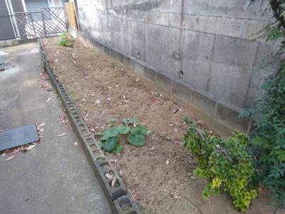 裏庭の家庭菜園スペースです。肥料を入れて耕してあります