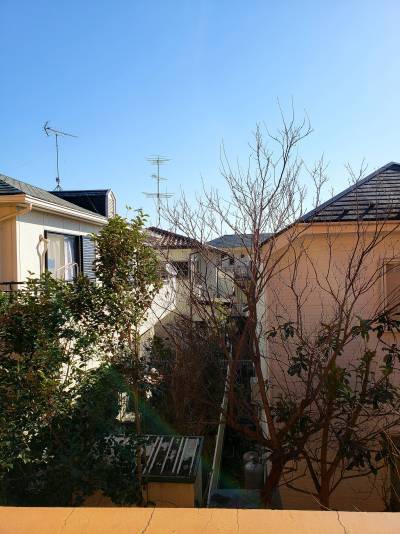 部屋からの眺望、近くに建物なく、景観も良いです！