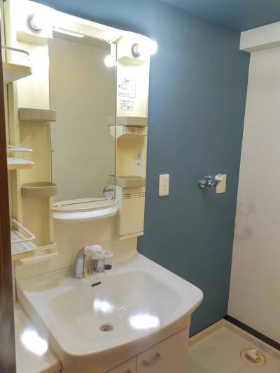 洗面台は独立洗面台です、ｱｸｾﾝﾄｸﾛｽ、床交換済みです