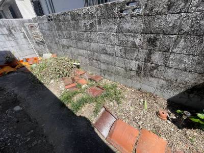 小さなお庭です

家庭菜園できます