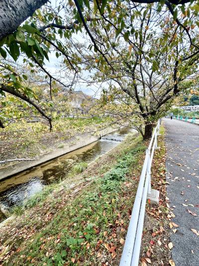 竜田川沿いに遊歩道があり、お散歩に最適