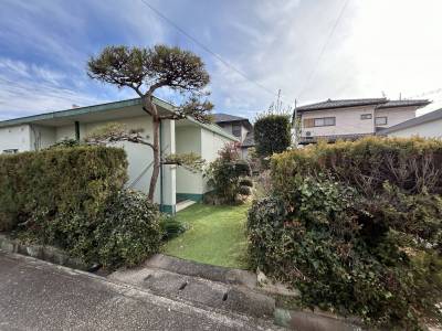 見事な植栽つき