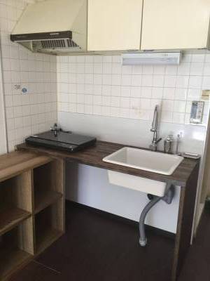 IKEAの陶器製シンクとシャワー付き水栓。