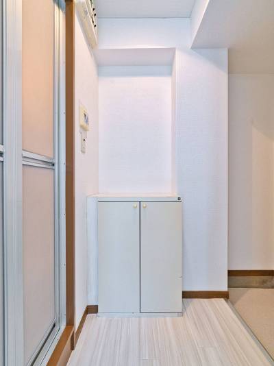 玄関入り口。シューズボックス。