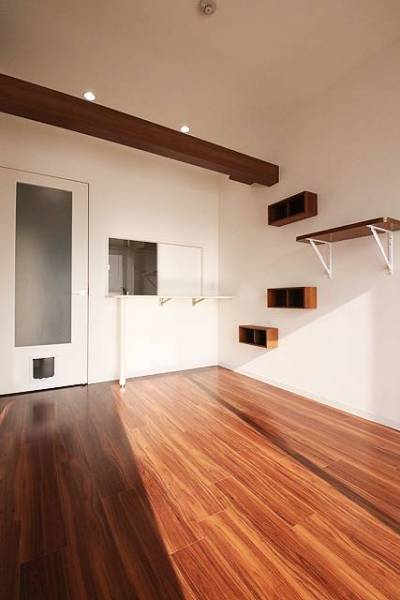 お部屋には猫ちゃん用ドア、登り棚、キャットウォークを完備。