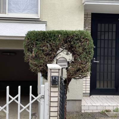 植栽に包まれるポストが出迎える玄関