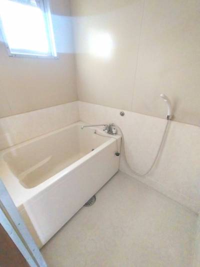 大きめの湯船です