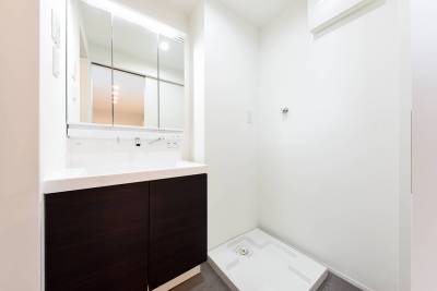 独立洗面台　室内洗濯機置場