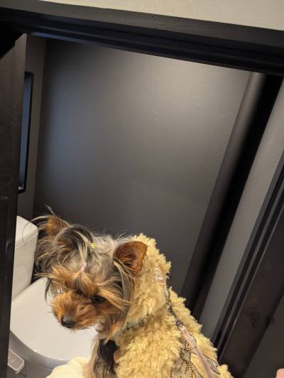 トイレが違いますね☆
確か他の部屋は和式トイレです。