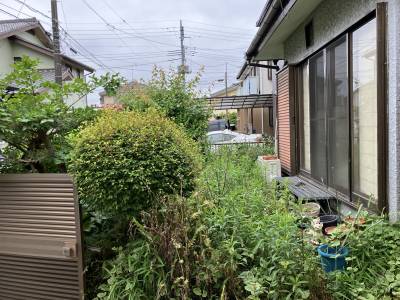 庭