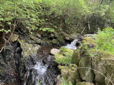 敷地下にはプライベートなせせらぎが流れています♪（※）