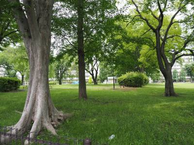 バス停のある遺跡公園は長閑な自然が感じられます。