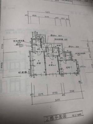 こちらの画像のうち、タイプAが203号室になります。