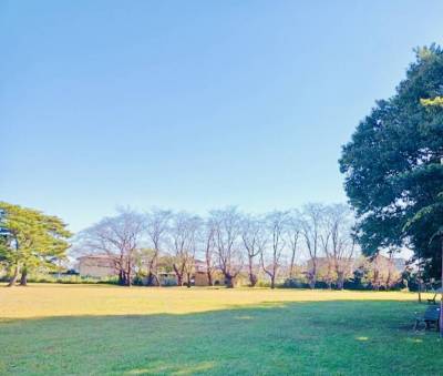 芝生が気持ちいい気象台記念公園はのびのびと遊べ、桜も綺麗！