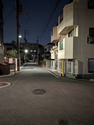 駅からの帰路・前面道路は、
こんな感じです