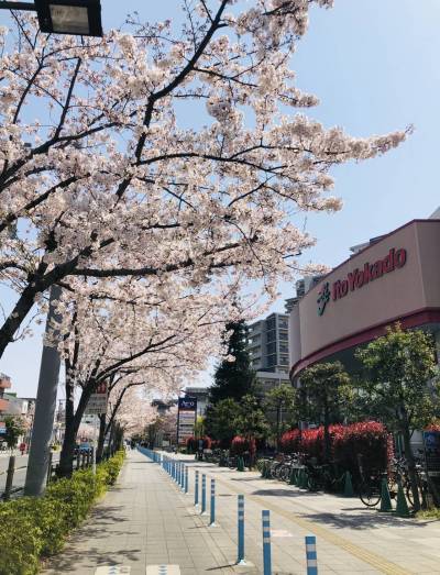 アリオの横でお買い物至便