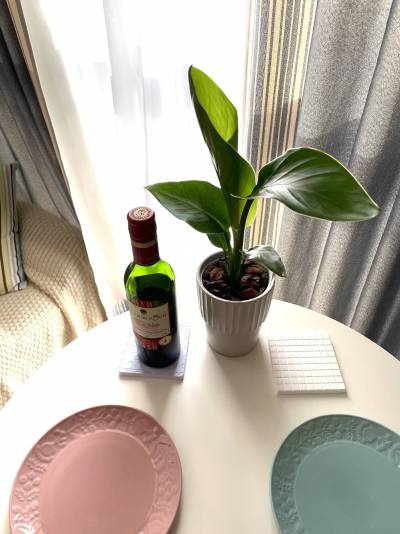 くつろぎのひとときを。