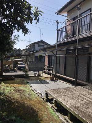 庭