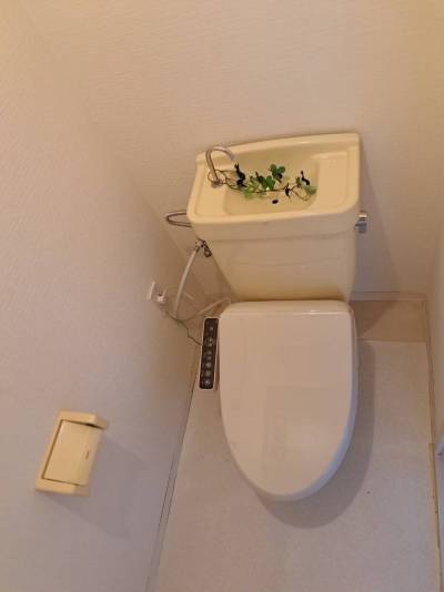 洗浄便座設置