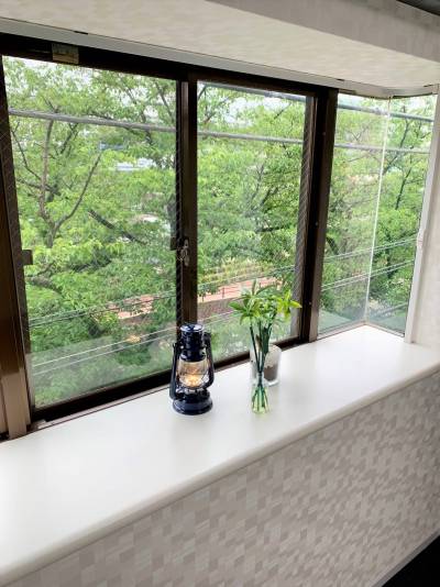 出窓。夏には緑が広がり癒されます。春は桜がとても綺麗です