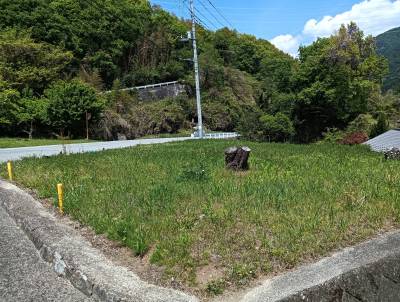 国道140号線沿い畑元々はスモモの木が生えていた所。