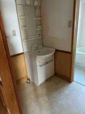 シャワー付き独立洗面台。十分なスペースのある洗面所です。