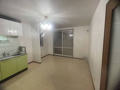 LDK全体。9.5帖あります。