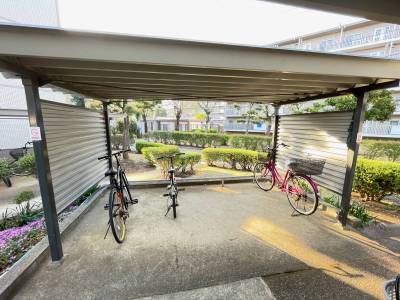 駐輪場。駐車場も敷地内にあります。