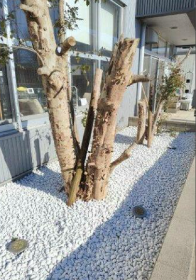 花壇あります、自由に土いじりも