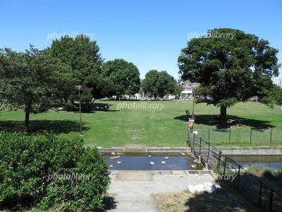 大師公園です。