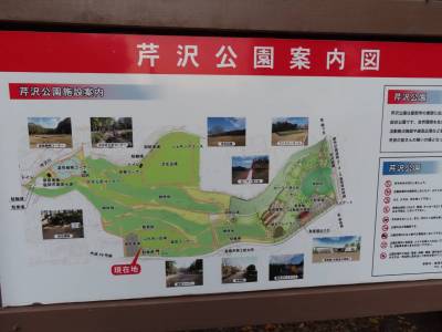 とても伸び伸びできる芹沢公園がすぐ近くに！