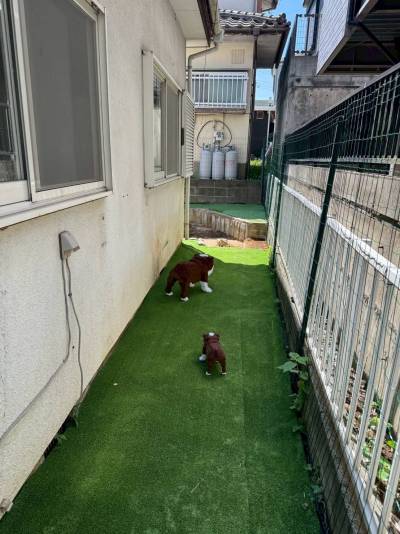 ワンちゃんに優しい人工芝を使用しています♪