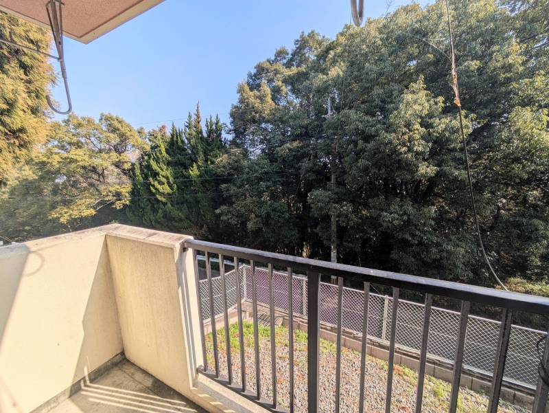 お部屋からの眺望