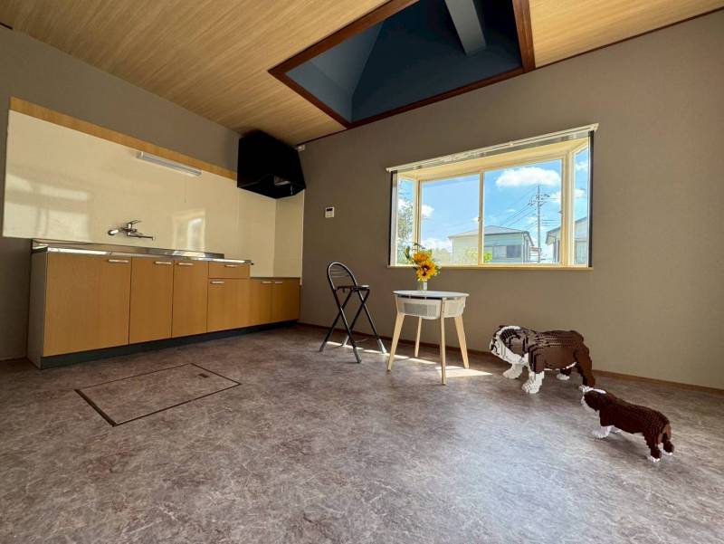 出窓から入る光が気持ちのいいお部屋です！ワンちゃんも嬉しい！