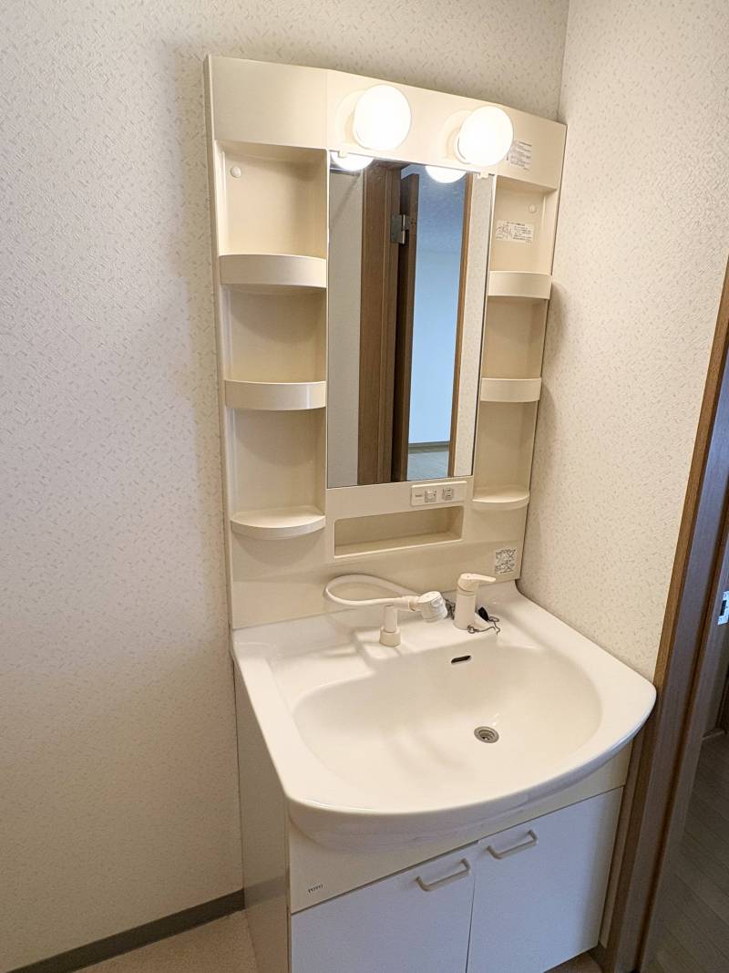 洗面台はシャンプードレッサー付きにリフォーム済み