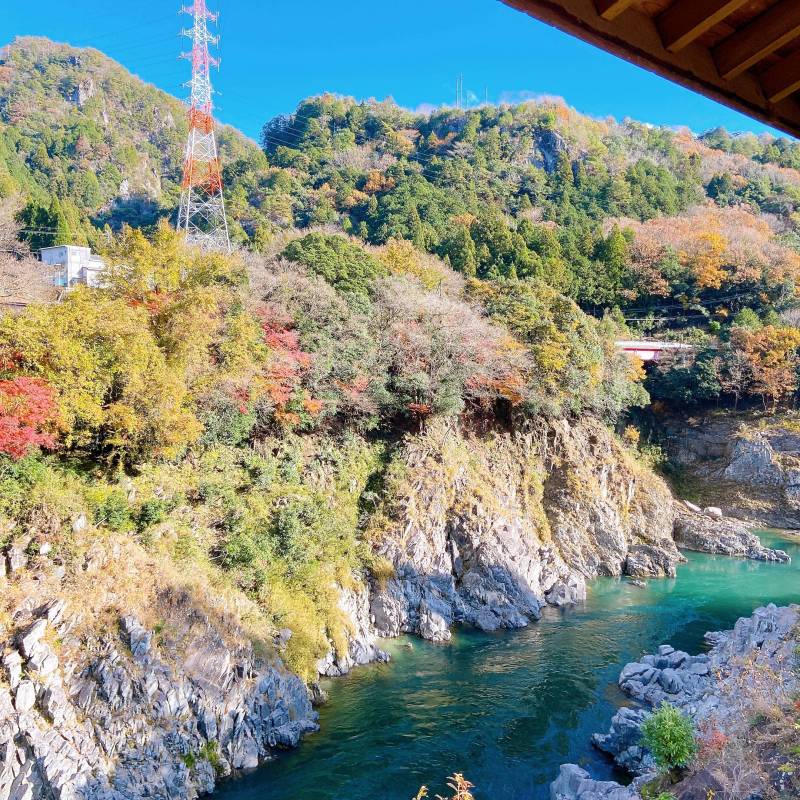 近くに流れる川はまさに清流です（秋）