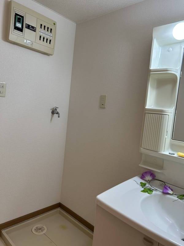 室内洗濯機置き場あり。洗面所