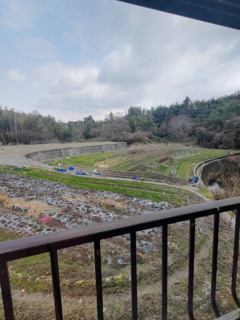 のどかな風景