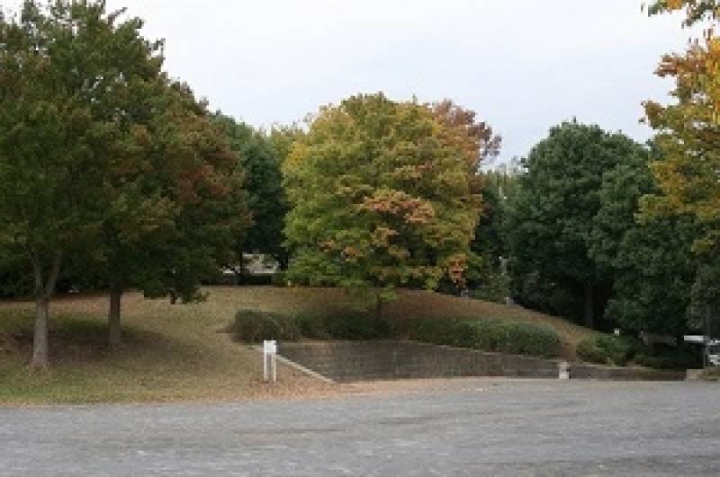 道路向かいの公園