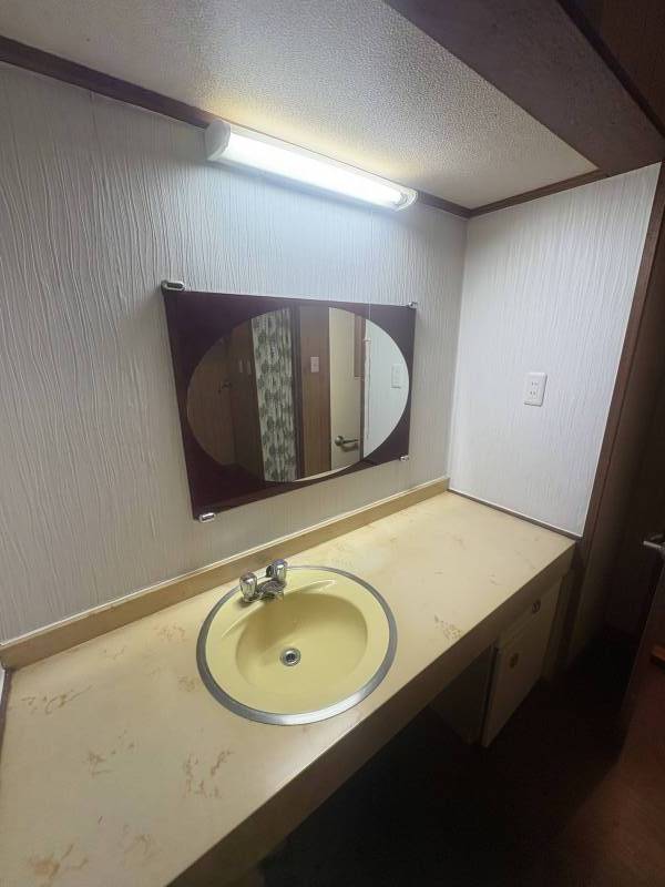 謎にゴージャス感のある洗面所