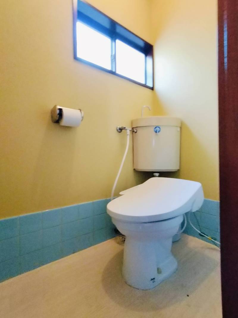 優しく明るい光が差し込みます。